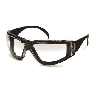 Dentec CeeTec DX Safety Glasses, Clear